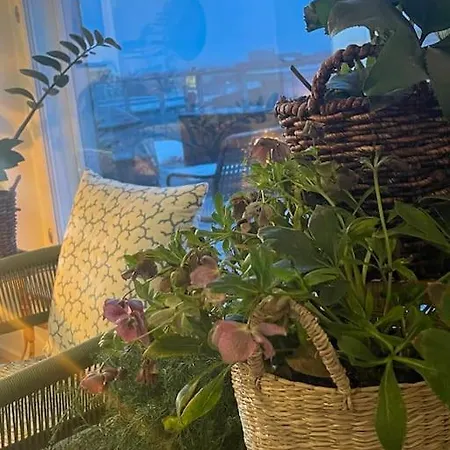 Apartment Stunning Rooftop Terrace In Helsinki! *